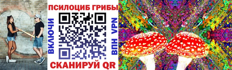 Купить  Арск  Псилоцибиновые грибы Magic Shrooms 
